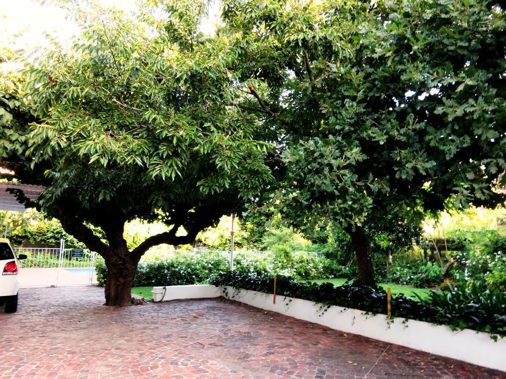 Fynbos Villa Guest House Stellenbosch Bagian luar foto