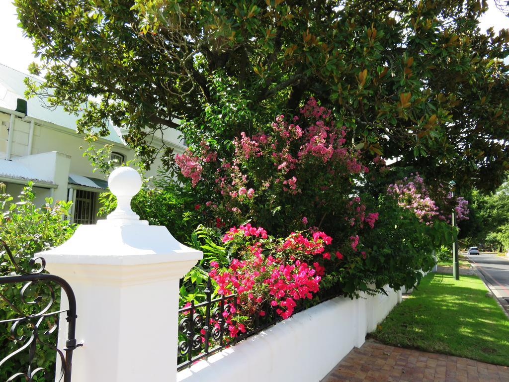 Fynbos Villa Guest House Stellenbosch Bagian luar foto